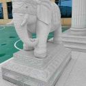 临汾 白麻花岗岩动物异形石雕-大象