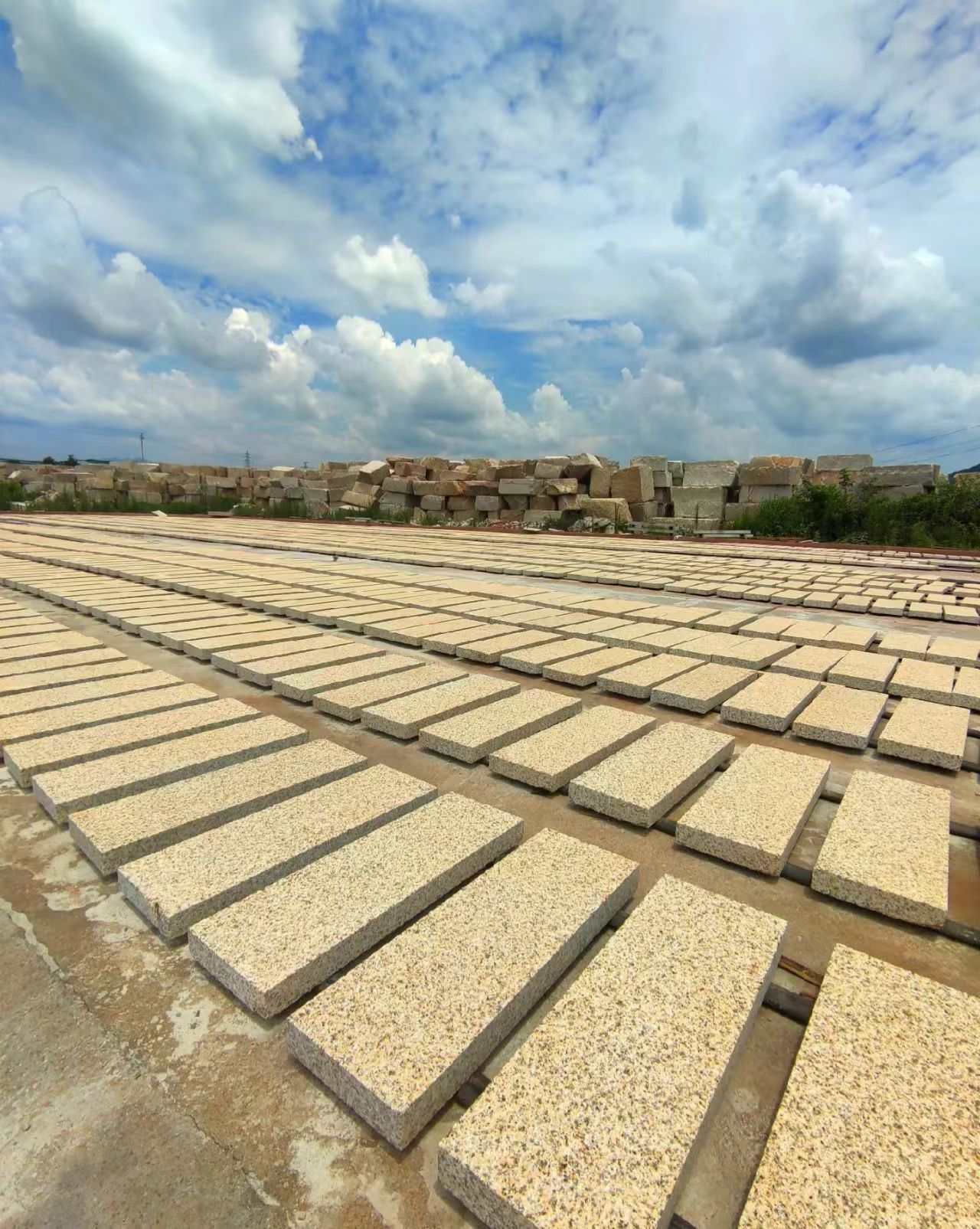 临汾 黄金麻花岗岩荔枝面地铺石防护中